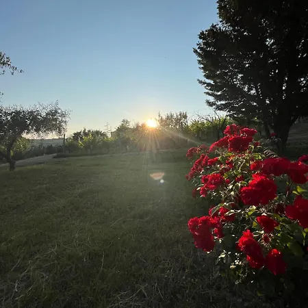 Mansarda Nel * Tavullia